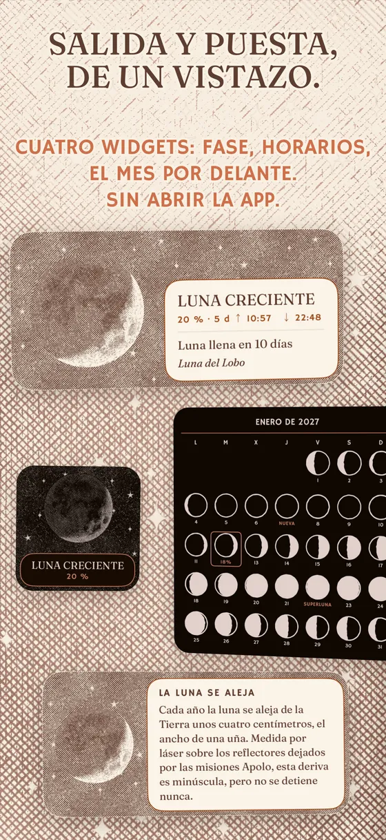 Los widgets