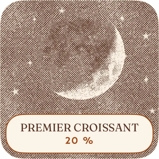 La lune de ce soir, petit widget d'écran d'accueil. — Clair
